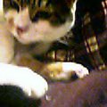 050222-191529.jpg