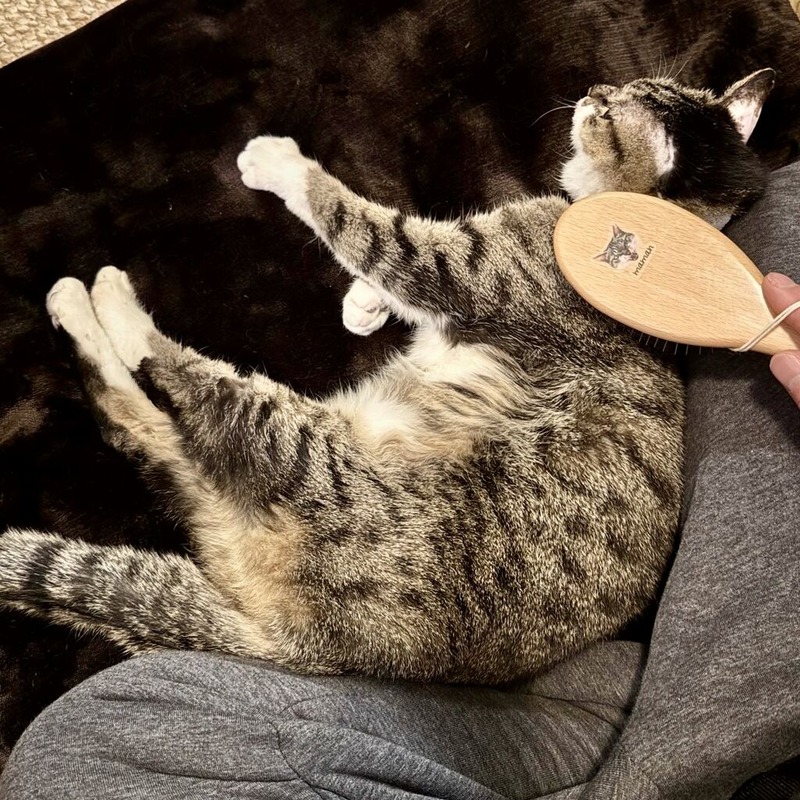 D80F7BBB-60DD-4A0E-8239-6F9B7D806A53