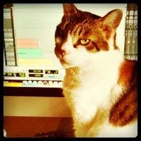 048f0a4b35ff4121bd8ba6f98b021953_7