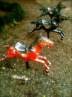 horses