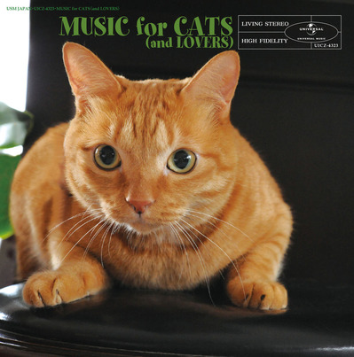 猫と音楽の休日_J