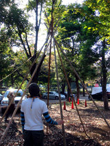 tipi8