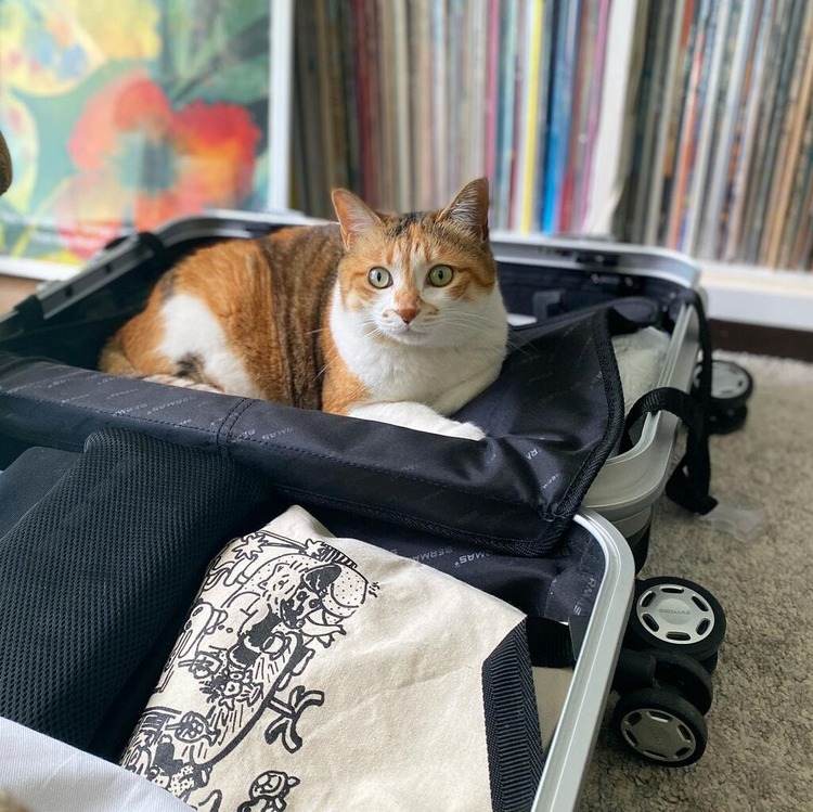 4840EAEA-884F-4F28-A84B-F5E5D233885C