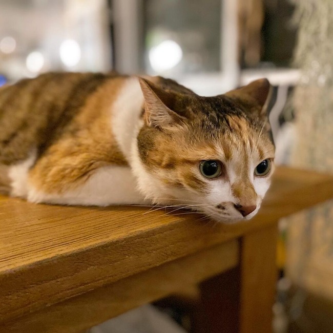 1DAE7986-3AE3-4B5E-A572-900D0A9DAD5B