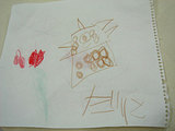 tipi4_3