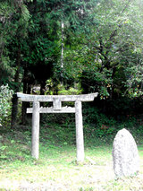 ful_5
