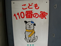 hachiko
