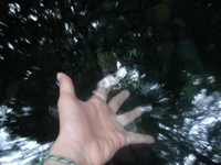 hand