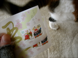 stamp
