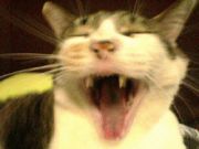 withyawn