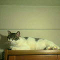 050525-005132.jpg