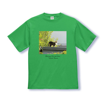 110001-0951-03-front_2000_green