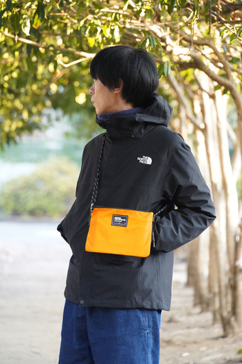 DSC02885_orange