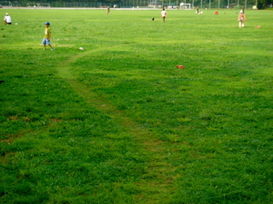 park