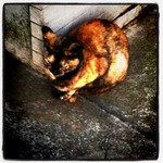 Photo 2�� 22, 21 04 31