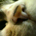 050616-014325.jpg