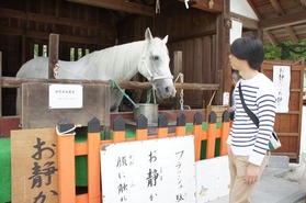 DSC04021