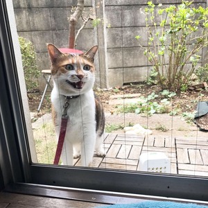 55334448-0F91-400A-9706-260342FE5632