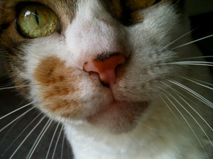 Photo 10 18, 14 16 03