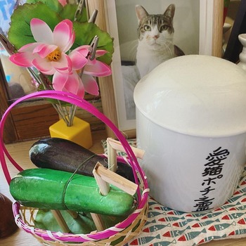 A63213E5-269E-44E9-B580-585B98C604F8