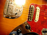 jaguar2