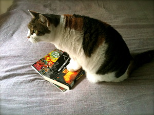 Photo 10 18, 14 14 54