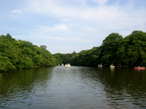 inokashira090611_2