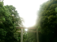 torii