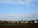 fields