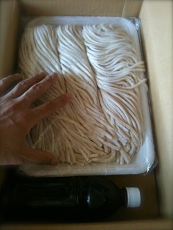 udon