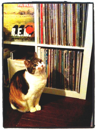 Photo 2�� 22, 23 01 54