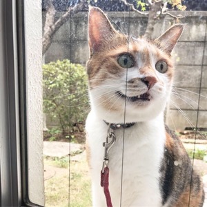 F4E126B7-B4A8-4440-9C23-37DD29C6E6E2