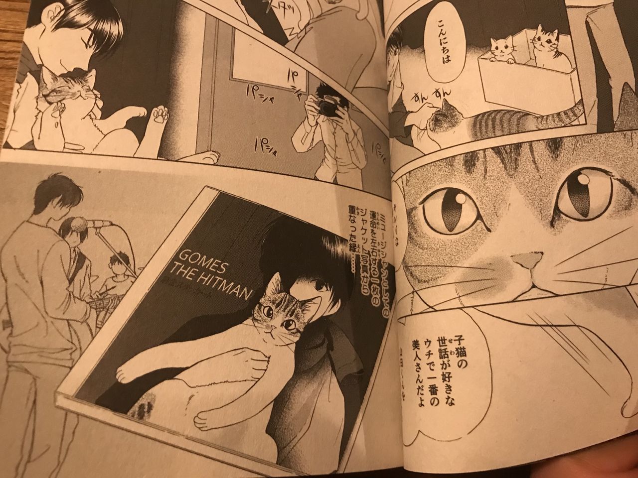 山田稔明と愛猫が漫画化 先月に続き ねこぱんち に掲載 明日1月9日発売 Monoblog