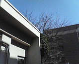 ccf5e05c.jpg