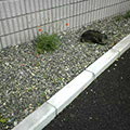 050515-003558.jpg