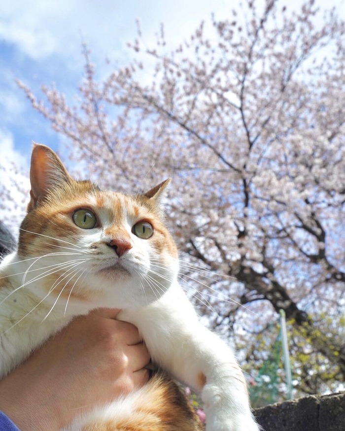 0546D745-F0E5-43D8-9E19-CA750CD02099