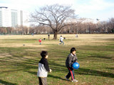nypark2
