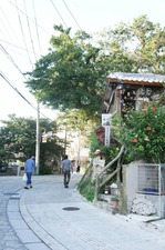 DSC08000