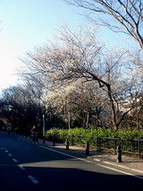 sampomichi