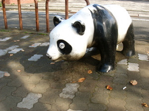panda