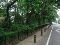 桜桃忌4