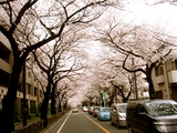 spring10