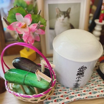 BB745419-81B7-48D3-A717-80A200488E00