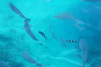 DSC07905