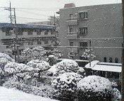 2006snow