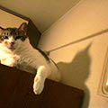 050621-005553.jpg