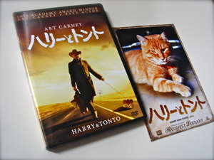 harrytonto
