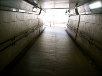mitaka1