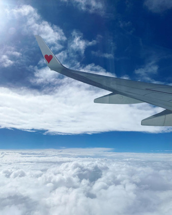 FC8D56E6-36DE-4D54-B2A6-8FFF734FB822