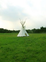 tipi